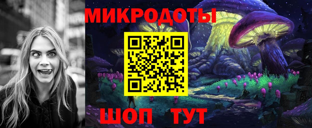 Псилоцибиновые грибы Psilocybe Кингисепп